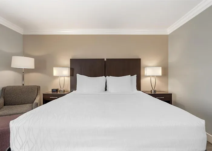 Best Western Plus La Mid-Town Hotel